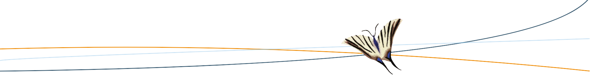 Lignes inversé couleur